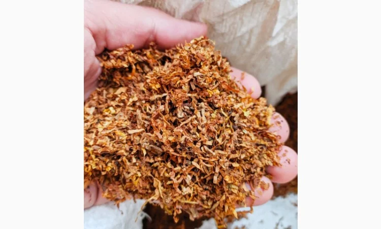 Всем сюда. лучший табак для трубки по самым доступным ценам - фото № 7