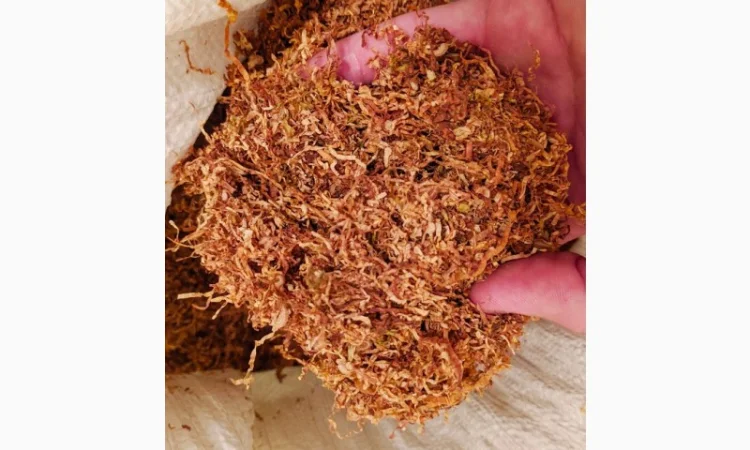 Вирджиния GOLD POLSKA - фото № 1