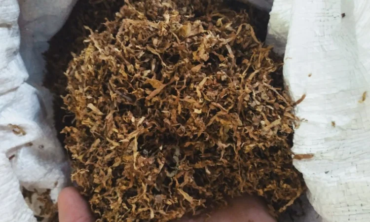 Продам Венгерский табак для трубки - фото № 2