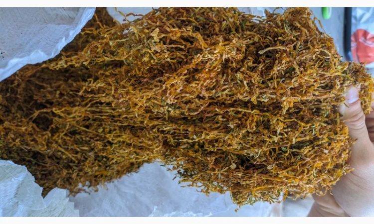 ТАБАК для трубки, Берли, Вирджиния Голд, Winston, Marlboro - фото № 2