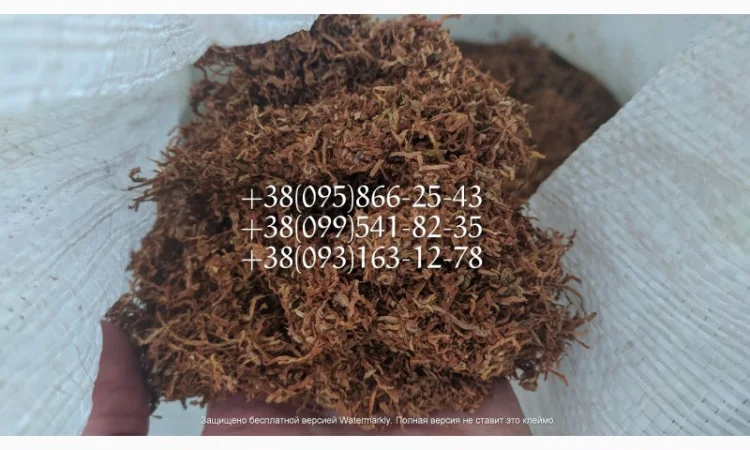 Качественный Табаки для самокруток  по хорошей цене ВИРДЖИНИЯ Берли Махорка - фото № 1