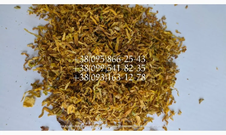 Качественный Табаки для самокруток  по хорошей цене ВИРДЖИНИЯ Берли Махорка - фото № 2