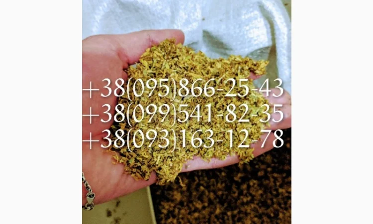 Качественный Табаки для самокруток  по хорошей цене ВИРДЖИНИЯ Берли Махорка - фото № 3