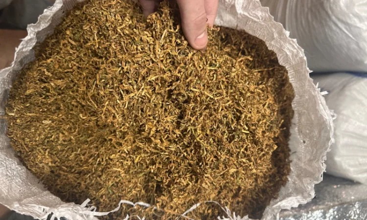 Є великий опт якісного тютюну без палок та вологості - фото № 1