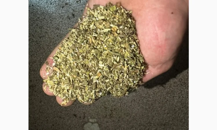 Є великий опт якісного тютюну без палок та вологості - фото № 2