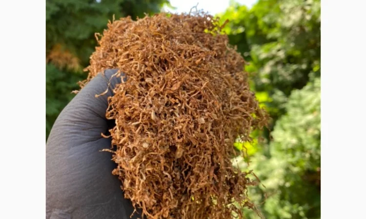 Добрий день!!! Шановні покупці, хочемо запропонувати Вам тільки першосортний тютюн - фото № 13