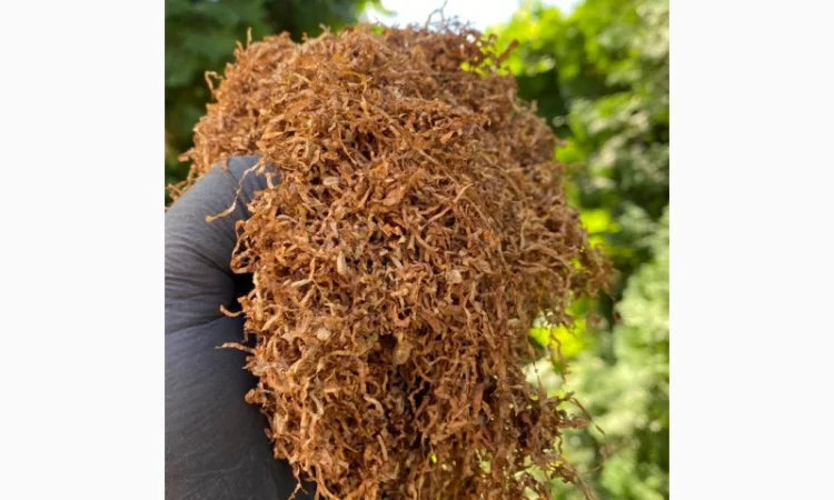 Качественный Імпортний табак ! Без пыли и мусора - фото № 13