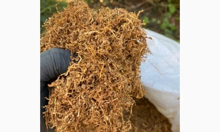 Якісний Імпортний табак! Без пилу і сміття - фото № 4