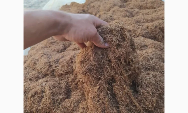 Продам Венгерский крепкий табак для самокруток - фото № 4