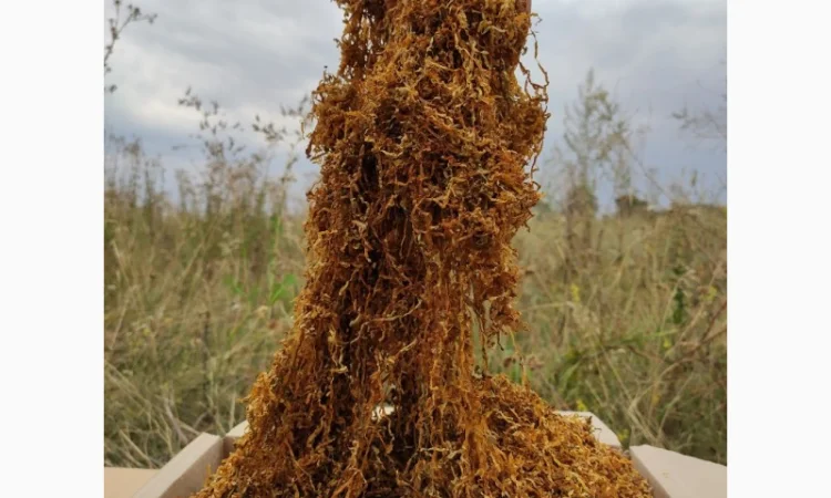 Табак Импортный Вирджиния Голд, золотистий, для сигарет 1 килограмм - фото № 3