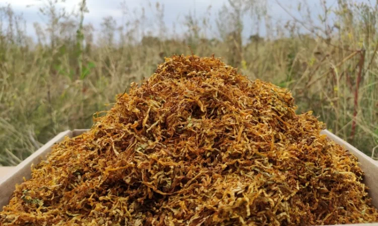 Табак Импортный Вирджиния Голд, золотистий, для сигарет 1 килограмм - фото № 4