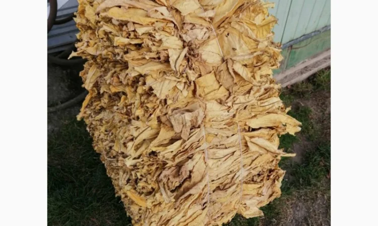 Продам крепкий табак Кентукки для сигарет 1 кг - фото № 1