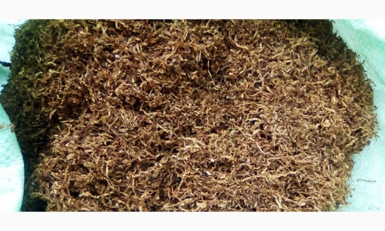 Продам крепкий табак Кентукки для сигарет 1 кг - фото № 2