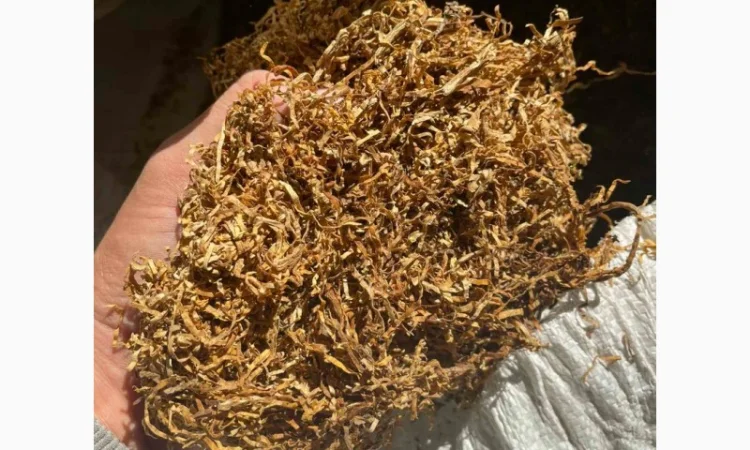 Продам крепкий табак Кентукки для сигарет 1 кг - фото № 8