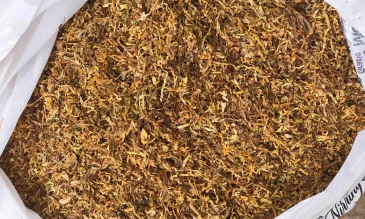 Оптом табак Вирджиния Голд - фото № 4