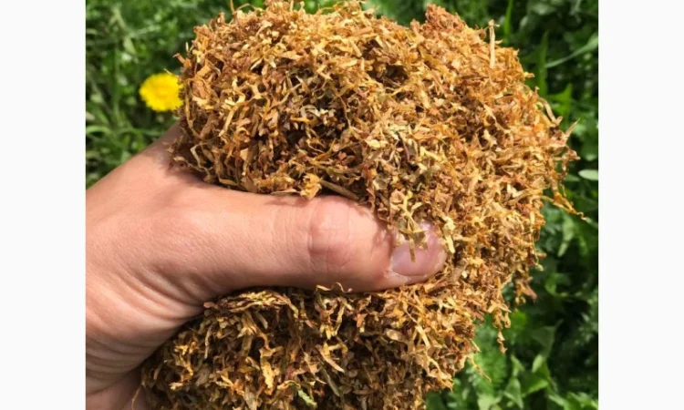 Оптом табак Вирджиния Голд - фото № 5