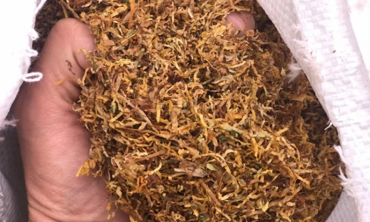 Оптом табак Вирджиния Голд - фото № 7