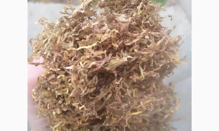 Табак для набивки гильз - фото № 3