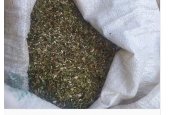 Продам самосад (махорка) для трубки - фото № 1