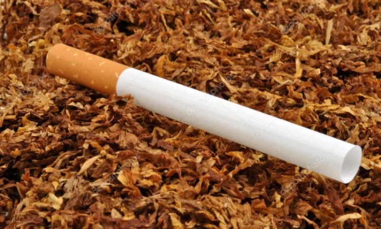 ЛУЧШИЕ ЦЕНЫ на фабричный ТАБАК  для сигарет 1 кг !Винстон. Мальборо. Кемел. Капитан Блек. Парламент - фото № 2