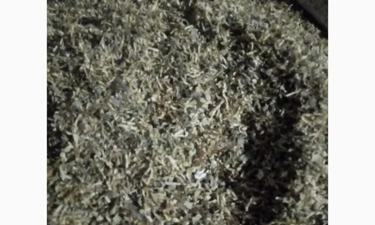 Продам табак для сигарет 1 кг - фото № 6