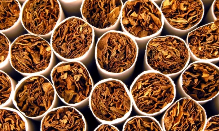 Продам Табак для самокруток , Опт и розница - фото № 2