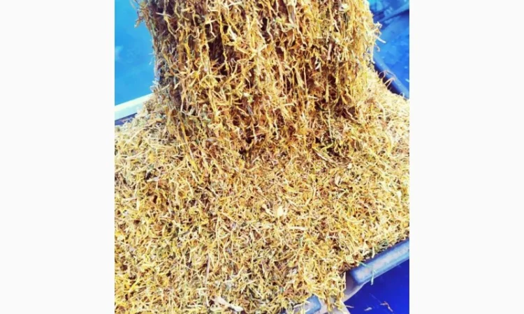 Качественный табак для трубки - фото № 7