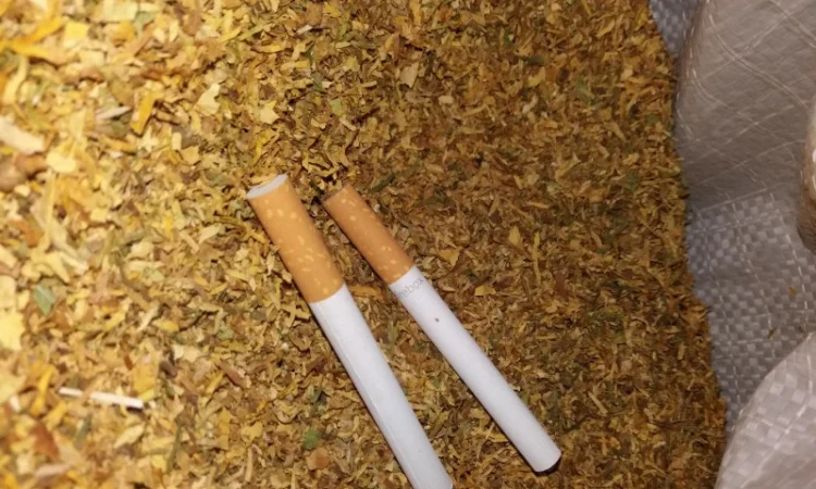 Табак завод  для сигарет 1 кг , 350грн/кг - фото № 4