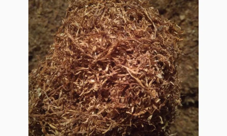 Хороший тютюн для трубки - фото № 2