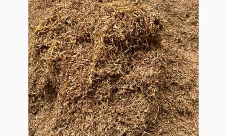 Табак фабрика для трубки - фото № 1