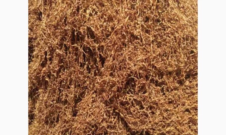 Вирджиния, берли, Винстон, ротманс , табак для трубки - фото № 1