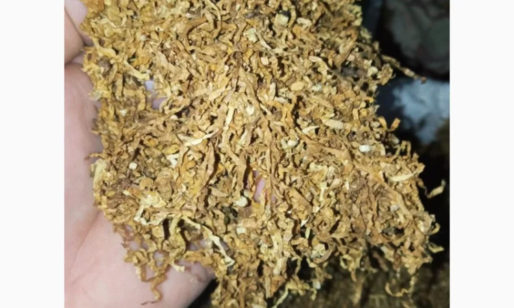 Хароший табак сільський український самосад для сигарет 1 кг, вірджінія, берлей - фото № 1