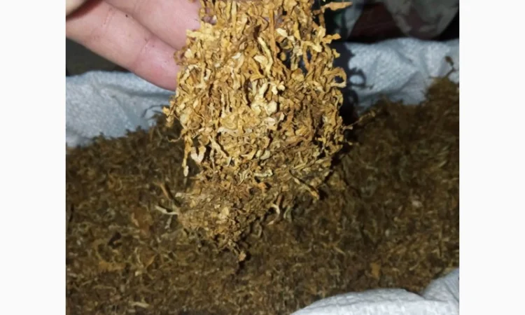 Хароший табак сільський український самосад для сигарет 1 кг, вірджінія, берлей - фото № 3