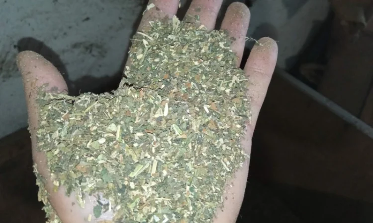 Свіженька курятіна не гірчить Тютюн вірджінія берлі Самосад - фото № 4