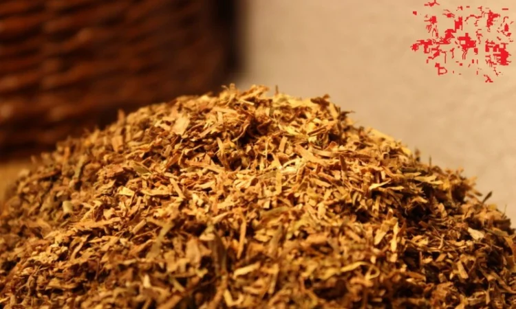 Тютюнець домашній самосад і самоход Табаки всі сухенькі - фото № 3