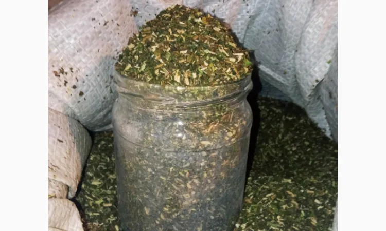 Курятіна для мужиків Самосад для самокруток , Вірджінія, все домашнє - фото № 3