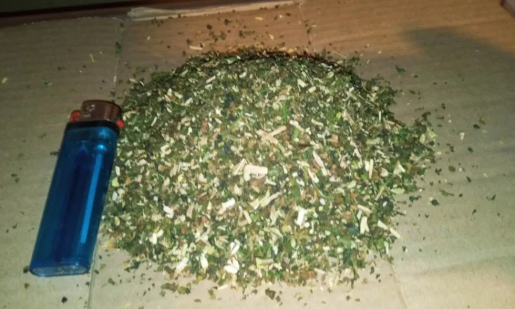 Тютюн для трубки хароший табачок тошо нада - фото № 2