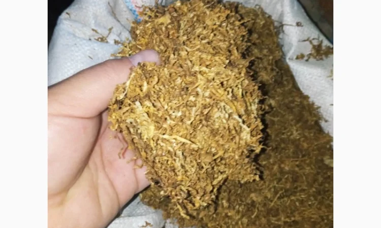 Для куріння Самосад і домашні табаки без пилюки і води - фото № 2