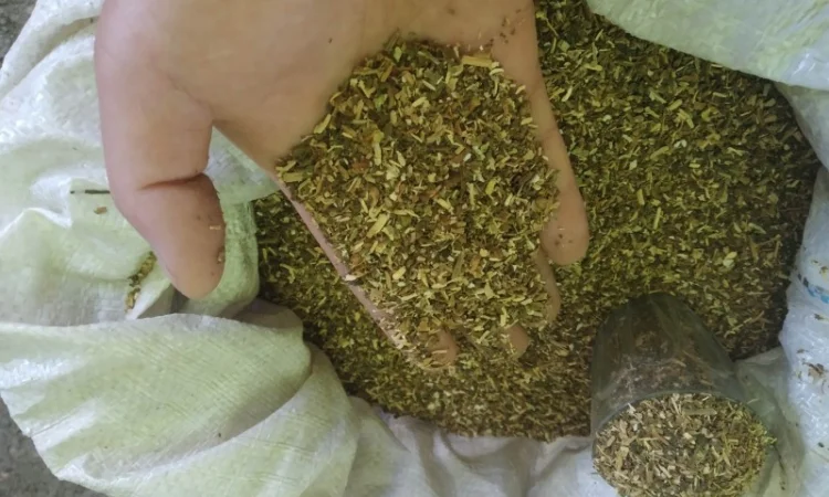 Дюбек Вірджінія домашній ферментований не смирдить не прілий Самосад для трубки  крепкий дідовський - фото № 2