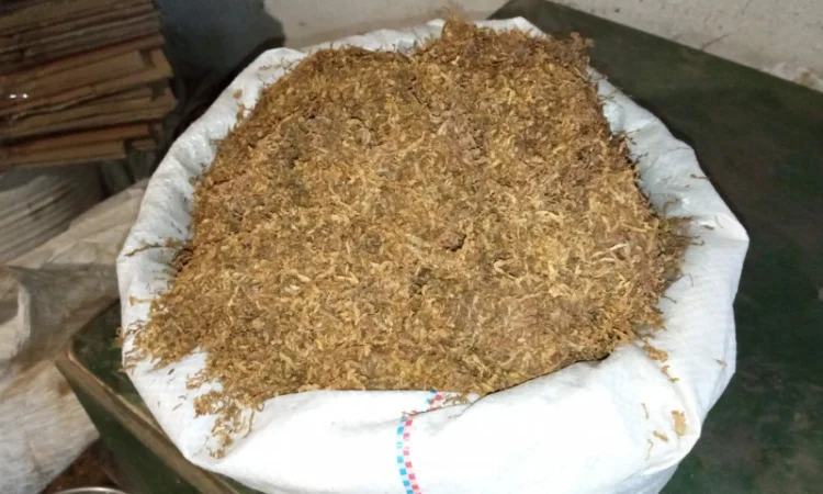 Дюбек Вірджінія домашній ферментований не смирдить не прілий Самосад для трубки  крепкий дідовський - фото № 4