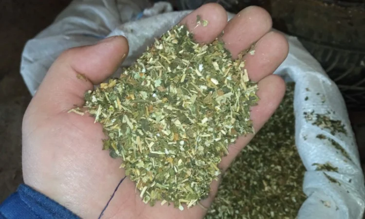 Табак Табацюра табаки для самокруток домашні - фото № 2