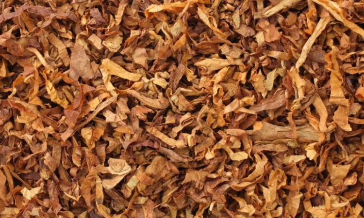 Запашна махорка з гарнрго сорту - фото № 1