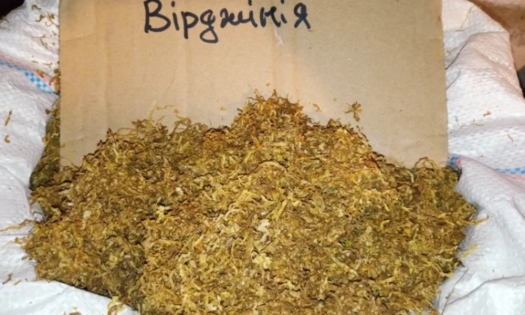 Берлі вірджінія самосад свіженький врожай - фото № 1