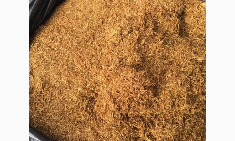 Берлі вірджінія самосад свіженький врожай - фото № 3