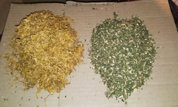 Тютюн самосад махорка табак  для  сигарет 1 кг,  все домашнє - фото № 1