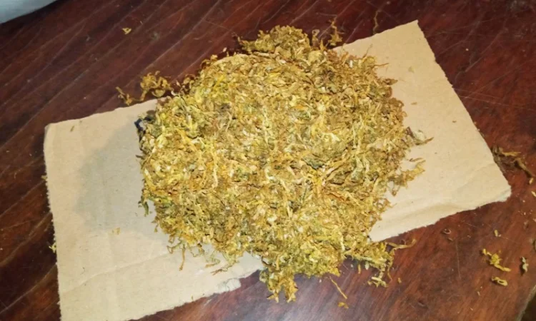 Домашній табачок самосад і дюбек берлі  для  сигарет 1 кг - фото № 3