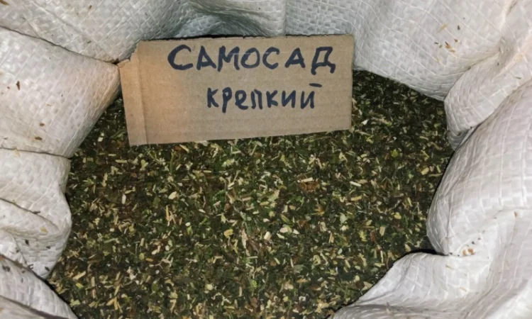 Вірджінія хароша не мокра самосад не прілий крепкий  для сигарет 1 кг - фото № 3