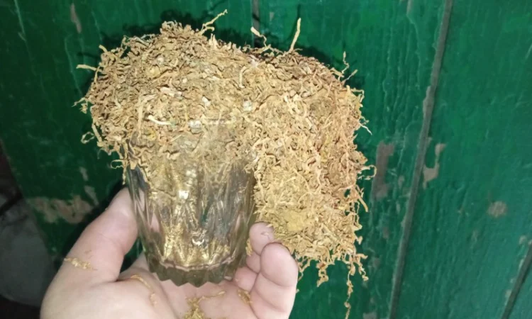 Тютюн  для сигарет 1 кг, не мокрий не прілий домашні різні сорти Самосад - фото № 1