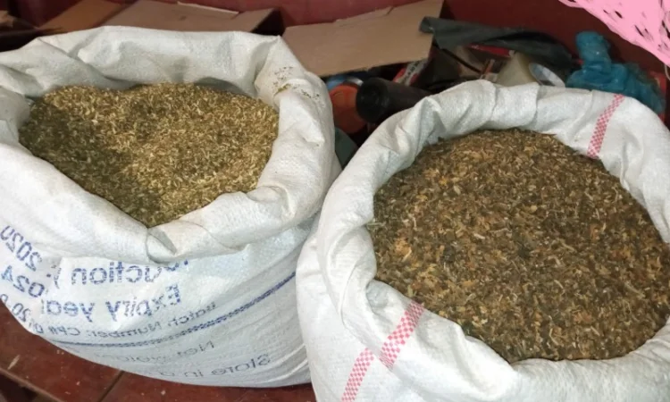 Домашні і сорти махорка дюбек берлі вірджінія сухенькі, для сигарет 1 кг - фото № 4