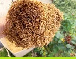 Вірджінія Дюбек самосад свій сухенький не прілий, для сигарет 1  кілограм - фото № 1